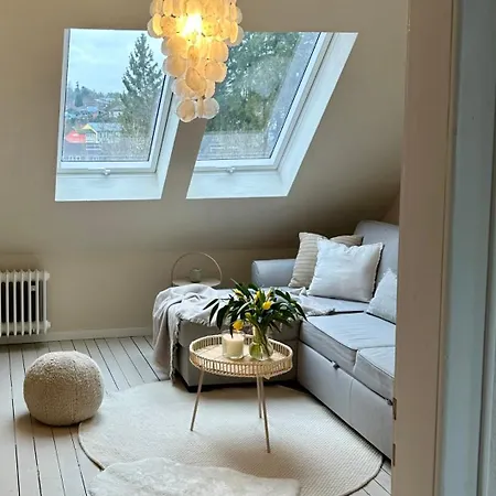 Cozy - Daun