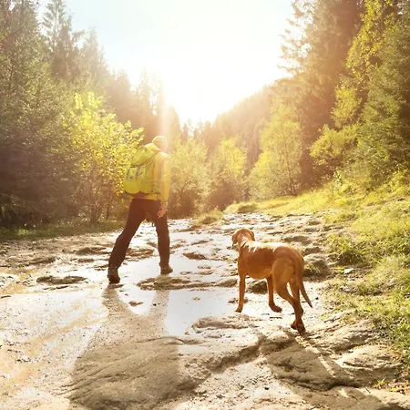 Διαμέρισμα Cozy -