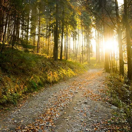 Cozy - Appartement *