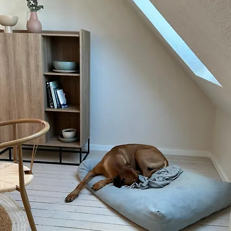 Cozy - Apartman *