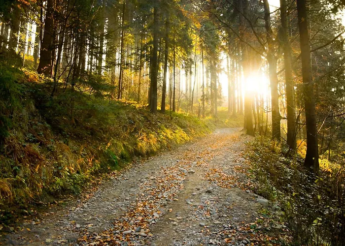 Cozy - Apartamento *