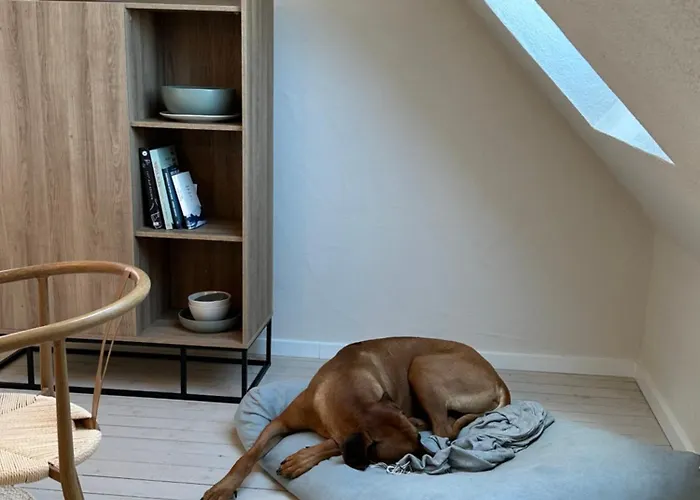 Cozy - Apartamento *